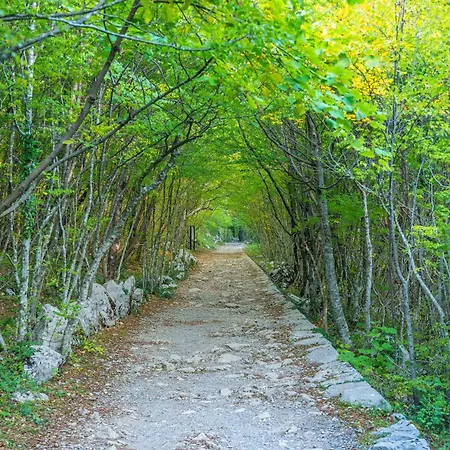 In Starigrad-paklenica 43533 Апартаменты Стариград-Пакленица